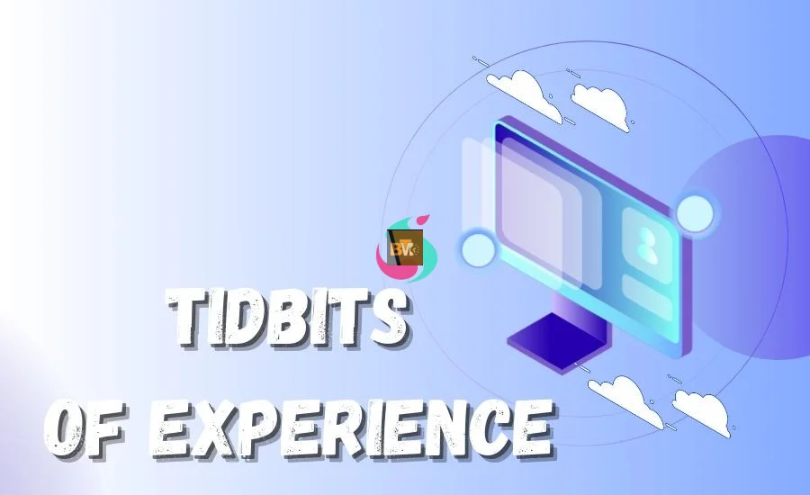 tidbits of experience