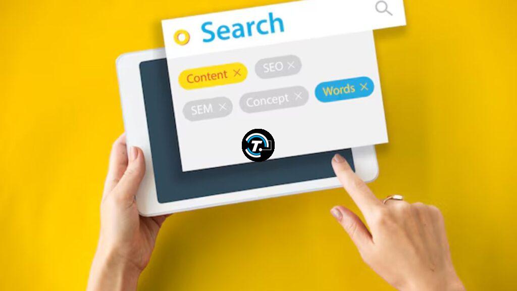 search box optimization byrankstar